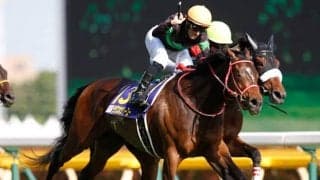 【京都記念前日オッズ】ラヴズオンリーユーが2.3倍で1番人気