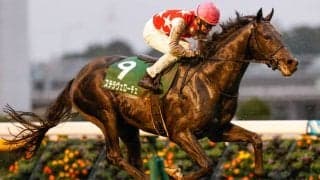 【共同通信杯前日オッズ】ステラヴェローチェが2.0倍で1番人気