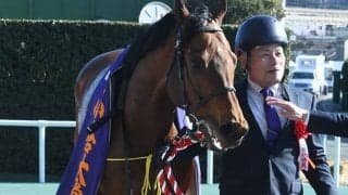 【小倉大賞典想定】前年覇者カデナ、中日新聞杯覇者ボッケリーニなど21頭