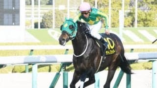 【洛陽S結果】サトノフェイバーが逃げ切り、約3年ぶりのV