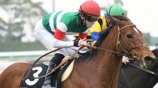 【京都牝馬S想定】ファルコンS覇者シャインガーネット、連勝中リリーバレロなど15頭