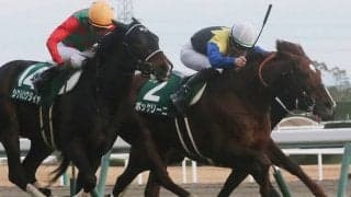 【小倉大賞典登録馬】ボッケリーニなど22頭が登録