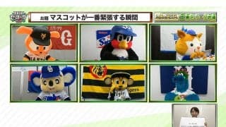 セ6球団マスコットが「一番緊張する瞬間」とは？　迷回答の爆笑コラボが実現！