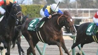 【小倉大賞典見どころ】ボッケリーニが重賞連勝を狙う