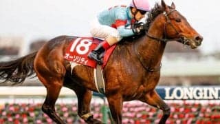 【ダイヤモンドS見どころ】オーソリティが重賞3勝目を狙う