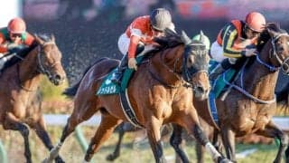 今年最初の中央GI・フェブラリーSに注目/今週の競馬界の見どころ