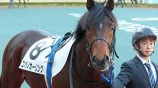 【JRA】阪神6Rでコパノカーリングが予後不良、鞍上の中井裕二騎手は異状なし