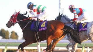 【エンプレス杯】JRA出走予定馬が発表、回避なければTCK女王盃と変わらず