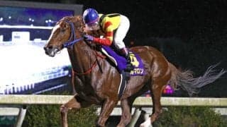 【高知・だるま夕日賞】スペルマロンが断然人気に応えて7馬身差V