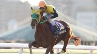 【金盃】GI馬ノンコノユメは8枠15番、3連覇狙うサウンドトゥルーは6枠11番