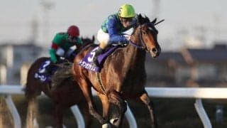 【雲取賞】トランセンデンスは4枠4番、ランリョウオーは7枠10番