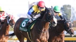 【クイーンC】超良血アカイトリノムスメが3連勝で重賞初制覇