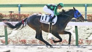 【新馬/東京3R】ワーズワースがデビューV！半兄はカシアス