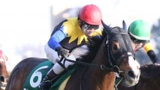 【クイーンC】戸崎「強い勝ち方」超良血アカイトリノムスメがV