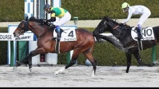 【新馬/阪神4R】8番人気 クールファイブがデビューV