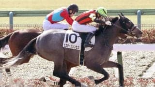 【新馬/東京2R】アンライバルド産駒 エスジープリンセスがデビューV