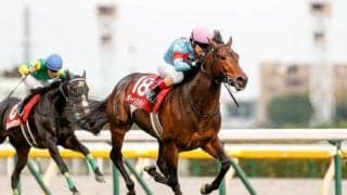 【ダイヤモンドSハンデ確定】オーソリティは56.0kg、ポンデザールは54.0kg