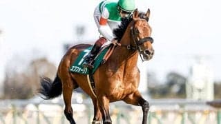 【次走】共同通信杯Vのエフフォーリアは皐月賞直行を視野に