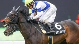 【ダイヤモンドS展望】3400mの長距離戦、あの馬の巻き返しを期待