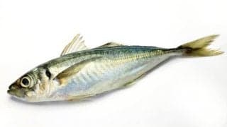 「DHA」の驚くべき効果効能