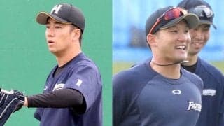 「人の話を聞ける大人に…」日ハム杉谷に贈られた斎藤佑の達筆手紙にファン感動