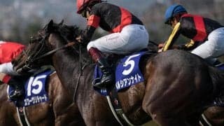 【次走】ペルシアンナイトは金鯱賞へ　マイルCS覇者、引き続き中距離路線歩む