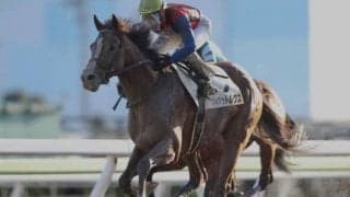 【フェブラリー賞】吉原寛人騎手＆フィアットルクスがV　南関東では15戦12勝