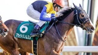 【クイーンC回顧】アカイトリノムスメ　一戦ごとに成長してきた超良血馬/栗山求コラム