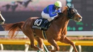 【京都牝馬S展望】軸不在で混戦模様の牝馬限定重賞