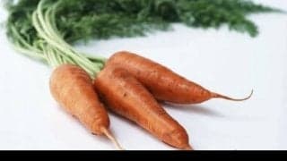 免疫機能の維持に欠かせない「ビタミンA」の働きとは