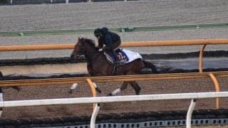 ダノンザキッド、弥生賞ディープインパクト記念2週前追い切り速報/栗東トレセンニュース