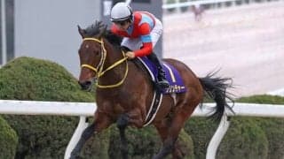 9馬身差圧勝のクリンチャーは名古屋大賞典へ