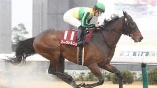 混戦のフェブラリーＳ。注目は「勝ちだしたら止まらない」血を持つ５歳馬