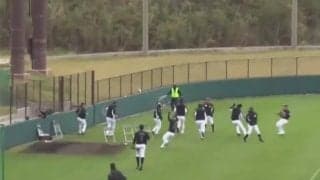 ファウルエリアでの“わちゃわちゃ”で誰が誰だか…　「キャンプあるある」にファン爆笑