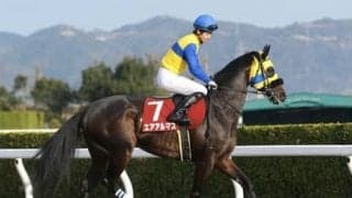 フェブラリーＳは大物不在。穴党記者が波乱の使者３頭をあぶり出した