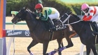 フェブラリーＳはどの馬にもチャンスあり。最も勢いある馬の一発に期待