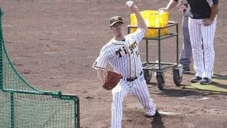 阪神チェン、キャンプ初の打撃投手で60球　糸井、マルテ、サンズと“ガチ勝負”