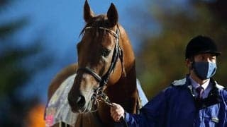 【フェブラリーS】「勝ったら◯◯」武豊騎手は35年連続重賞制覇、今月勇退角居師はラストGI
