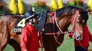 【サウジCデー】2騎手が入国不可になり騎乗変更、サウジダービーのピンクカメハメハは戸崎圭太騎手に