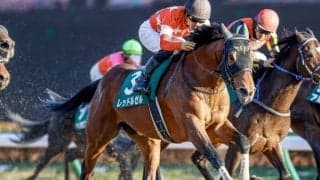 【フェブラリーS】レッドルゼル安田師「ロードカナロア産駒初のダートGI馬に」/ねぇさんのトレセン密着