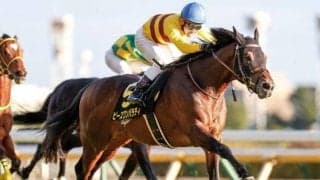 【次走】京都金杯2着のピースワンパラディは川田将雅騎手とのコンビでダービー卿CTへ