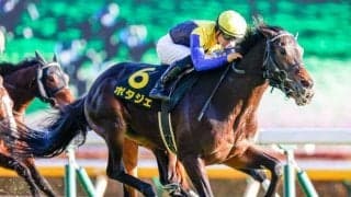 【次走】4連勝中のポタジェは北村友一騎手との新コンビで金鯱賞へ