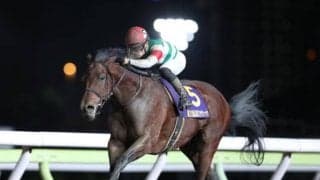 【JRA】右後肢を負傷していたクリソベリルが再度手術
