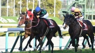 【次走】ラヴズオンリーユーはO.マーフィー騎手との新コンビでドバイへ