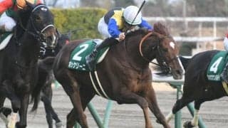【小倉大賞典前日オッズ】ボッケリーニが2.6倍で1番人気