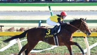 【フェブラリーS前日オッズ】カフェファラオが4.4倍で1番人気