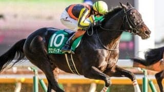 【ダイヤモンドS結果】7番人気グロンディオーズが差し切り重賞初V