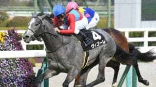 【つばき賞結果】ヴィゴーレが直線一気でV