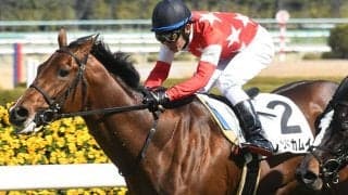 【阪神5R・3歳未勝利】初陣のエピファネイア産駒レッドカムイがV、阪神2400mでのデビューVは初