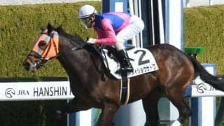 【阪神4R新馬戦結果】8番人気メイショウサトワが2番手から抜け出しV